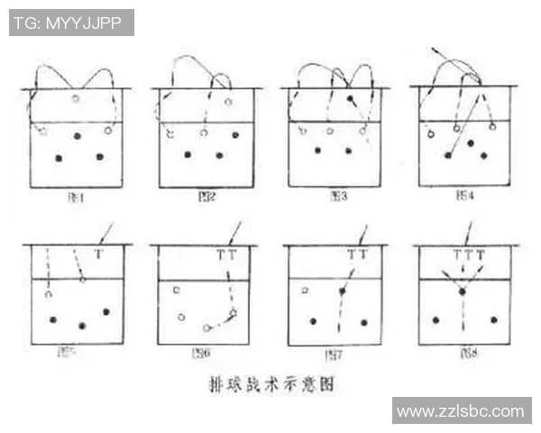 深入分析西安排球队的节奏打法及其战术运用的专业解读