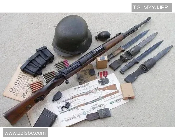 上海排球队阵地战体系解析与战术创新研究