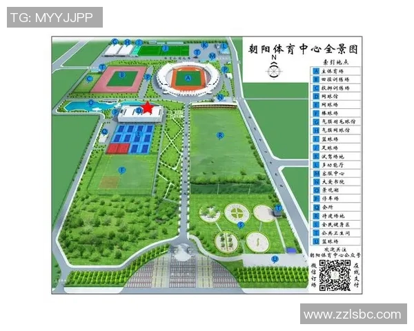 杭州网球队的拼搏历程与荣耀时刻全景回顾