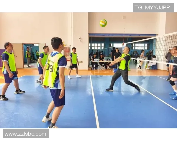 深圳排球队在杯赛中的灵活性展现与战术调整分析